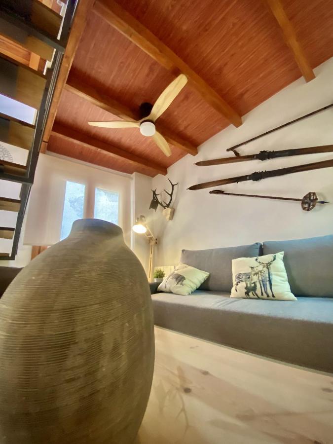Cal Domenec Rialp - Duplex Con Encanto - Se Admiten Mascotas Екстериор снимка